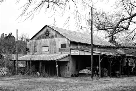 Newbern, Alabama: Walking in the Footsteps of William Christenberry - Shadows and Light