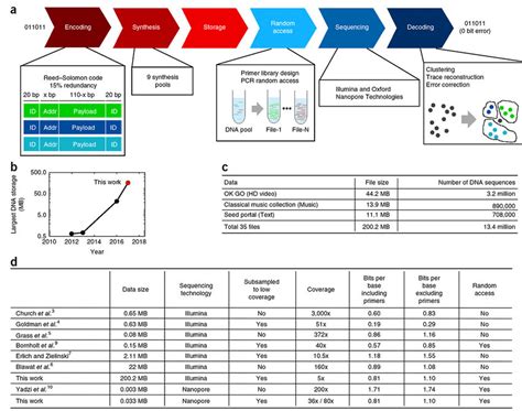 Overview of the DNA data storage workflow and stored data (a) The... | Download Scientific Diagram