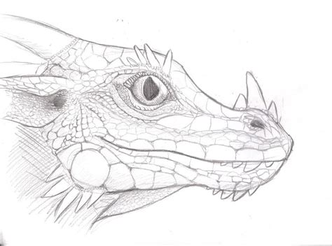 Drawing Sketch Dragon Scales