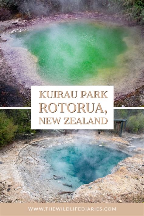 Kuirau Park - a (Free) Geothermal Wonderland in Rotorua