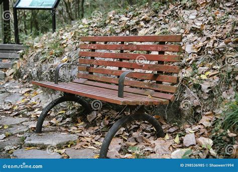 Wooden park bench stock image. Image of single, furniture - 298536985