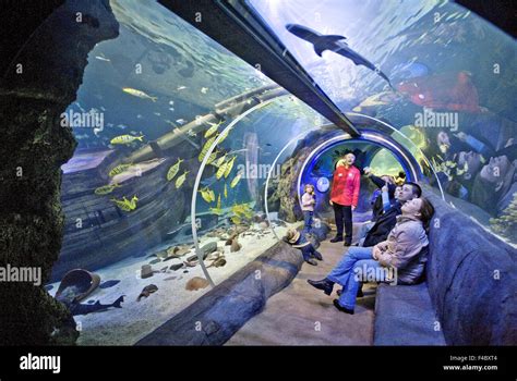 Sea Life Oberhausen, Germany Stock Photo - Alamy