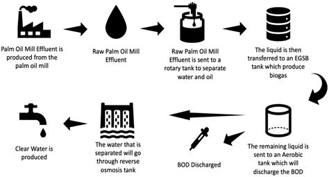 Sustainability | Free Full-Text | Microalgae Cultivation in Palm Oil ...