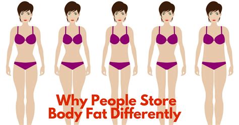 Why People Store Fat In Different Parts Of The Body