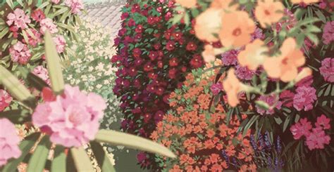 Witchy Kitchen Craft — ghibli-collector: The Floral Art Of Studio Ghibli... Aesthetic Gif ...