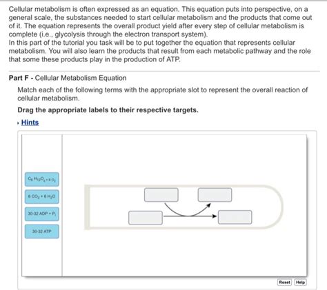 Solved: Cellular Metabolism Is Often Expressed As An Equat... | Chegg.com