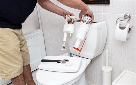 Toilet Flushing Problems? Common Causes and How to Fix Them - ArticleCity.com