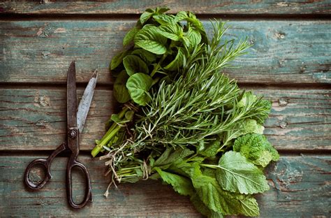 Dry Herbs vs. Fresh Herbs: Advice from Chef Neil