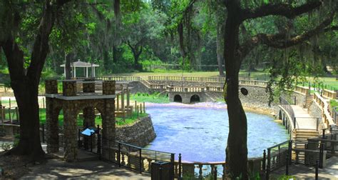 Radium Springs: Radioactive Natural Wonder in Albany – GAFollowers