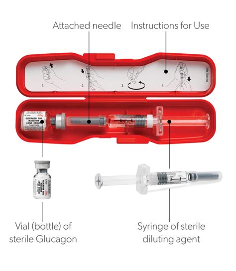 All about Glucagon - Beyond Type 2Beyond Type 2