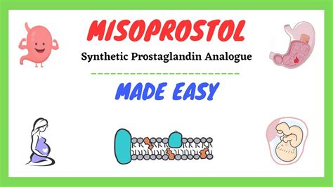 Misoprostol(Prostaglandin analogues)Mechanism| Side Effects| Usess ...