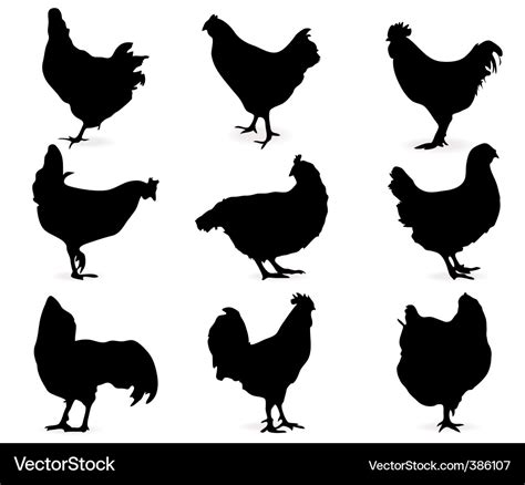 Svg Images Of Chickens - 282+ Popular SVG File