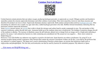 Catalase Test Lab Report | PPT