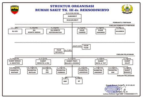 Detail Bagan Organisasi Rumah Sakit Koleksi Nomer 6