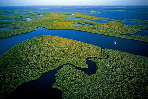 Everglades National Park, Wildlife Tourism in Florida - Traveldigg.com