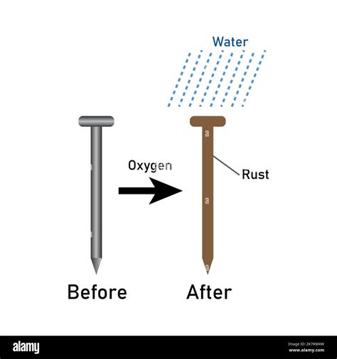 Rusting of iron nail experiment diagram. Investigating the conditions under which iron rusts ...