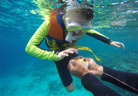 Snorkeling for non-swimmers: Practical tips and advice | OutsiderView