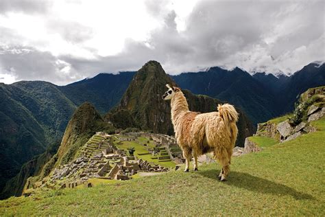 Peru with Machu Picchu Guided Tour | Insight Vacations
