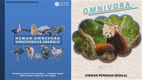 Nama Hewan Omnivora | Omnivorous Animals Name | Nama hewan omnivora Bahasa Indonesia dan Inggris ...