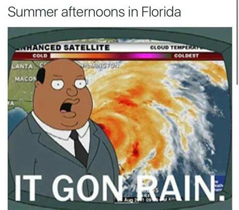 It gon rain | Hurricane memes, Family guy, Funny pictures