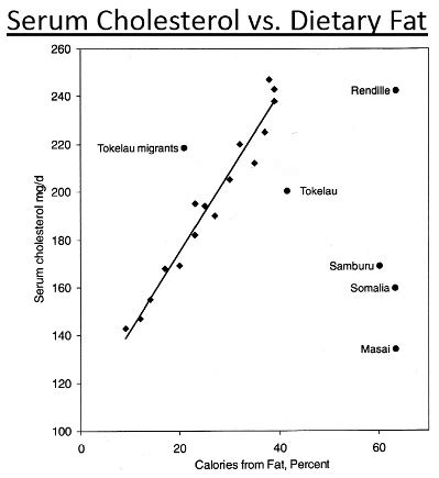 The Fear Of Saturated Fat And Cholesterol | Paleo Leap