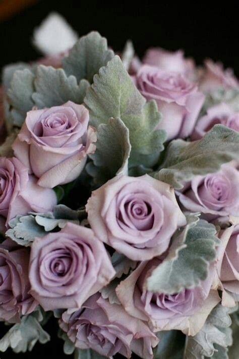 29 best sterling silver roses--my fav images on Pinterest | Silver ...