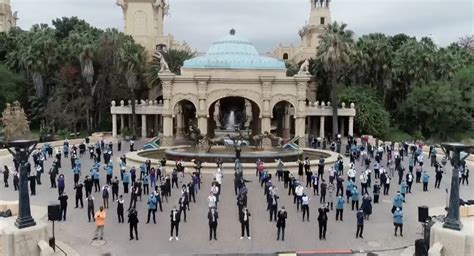 Sun City staff celebrate re-opening with emotional group dance.