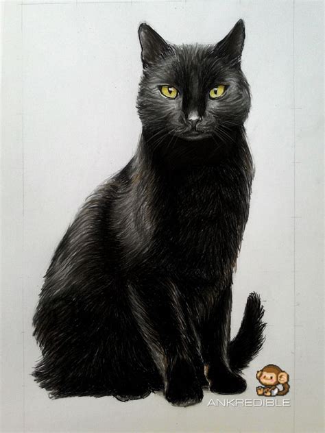 Cat (Color Pencil Drawing) by Ankredible on DeviantArt | Black cat painting, Cat colors, Kitten ...