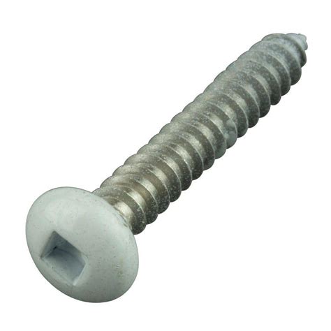 Crown Bolt #10 1-1/4 in. Philips Pan-Head Square White Stainless Steel Sheet Metal Screws (8 ...