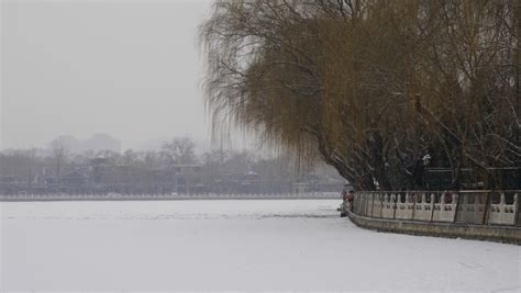 It snowed in Beijing and we were good to one another | Photo of the Day ...