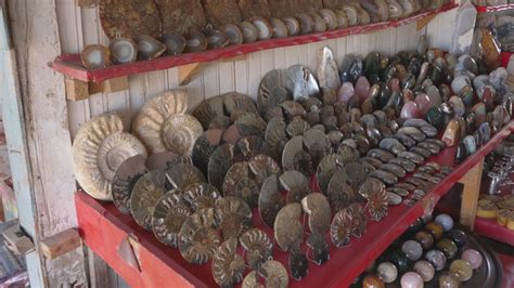 Ammonite Shell image - Free stock photo - Public Domain photo - CC0 Images