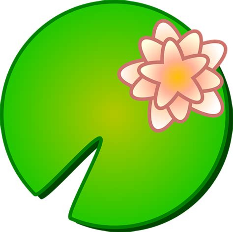 90+ Free Lily & Lotus Vectors - Pixabay