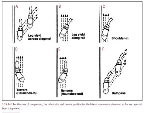 Lateral Movement Exercises