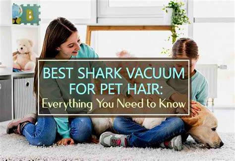 Best Shark Vacuum For Pet Hair: Everything You Need to Know