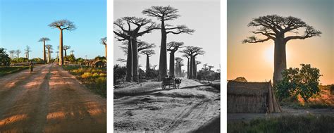 Madagascar - PHOTOGRAPHY on Behance