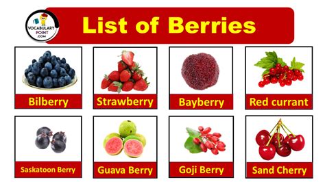 List of Berries (Berries Names With Pictures) - Vocabulary Point