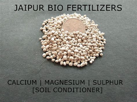 Soil Fertilizer (Ca Mg S 10:5:10) Buy soil fertilizer for best price at ...