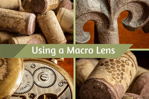 Macro Photography - How to Use a Macro Lens | Digital Photo Mentor