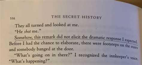 the secret history Chaotic Academia, Academia Aesthetic, Donna Tartt, Book Annotation, History ...