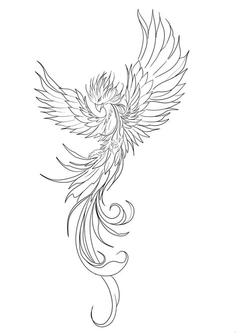 Tattoo Outline Drawing, Outline Drawings, Outlines, Tattoos And Piercings, Phoenix, Tatting ...