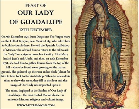 Our Lady of Guadalupe. Infographic (Feast Day: December 12th) | Blessed virgin mary, Blessed ...