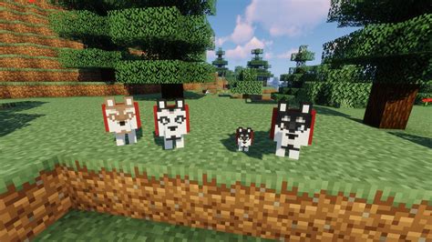 5 best Minecraft mods and resource packs for dogs