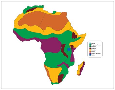 Montessori Materials: Biomes of Africa Puzzle Map Complete Set (Premium Quality)