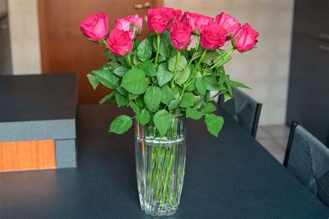 How To Keep Roses Alive In A Vase
