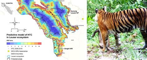 Bengal Tiger Habitat Map