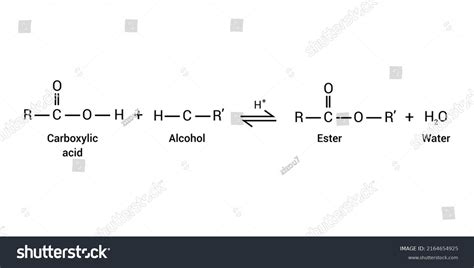 Esterification Reactions Youtube