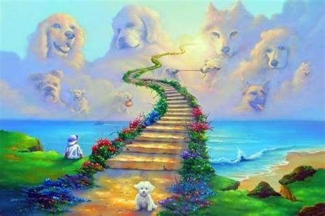 All Dogs Go To Heaven | Rainbow bridge, Dog heaven, Animal wall art decor