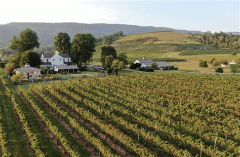 Plan your Dream Vacation in Virginia Wine Country - Virginia Wine Blog