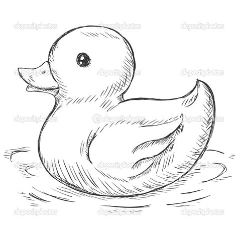 Duck In A Pond Drawing at GetDrawings | Free download