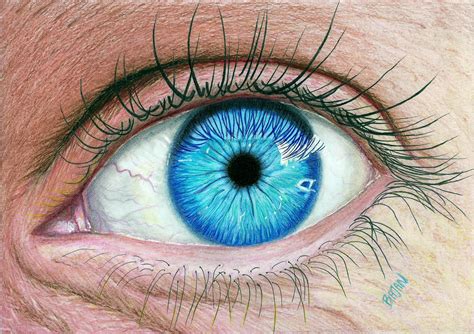 Realistic Eye by Bajan-Art on DeviantArt